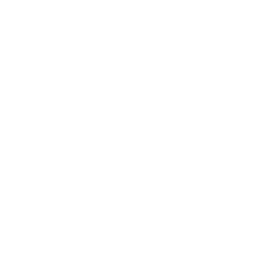 loupe